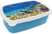 Broodtrommel Blauw - Lunchbox - Brooddoos - Zee - Vis - Koraal - Onderwaterwereld - 18x12x6 cm - Kinderen - Jongen