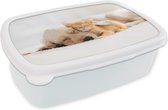 Broodtrommel Wit - Lunchbox - Brooddoos - Dieren - Hond - Kitten - Rood - 18x12x6 cm - Volwassenen