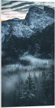 WallClassics - Acrylglas - Hoge Bergen boven de Bomen uit - 50x100 cm Foto op Acrylglas (Wanddecoratie op Acrylaat)