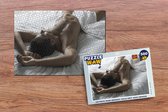 Puzzle Homme teinté se couvre d'une couverture - Puzzle - Puzzle 500 pièces
