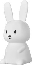 Rammelaar&Co Nachtlampje Bunny - Kinderkamer Verlichting LED RGB en Warm Wit - USB Oplaadbaar - Nachtlampje Konijn - Kindvriendelijk