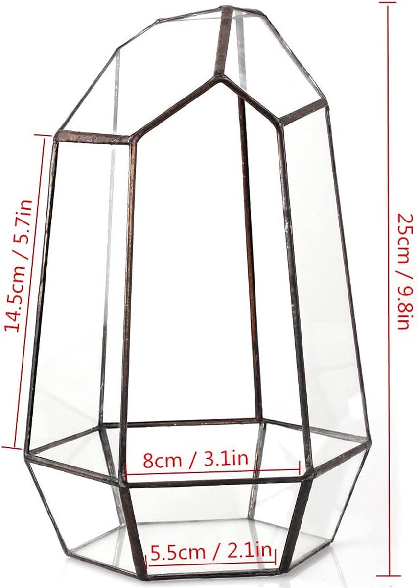 NCYP Groot geometrisch hangend glazen terrarium voor