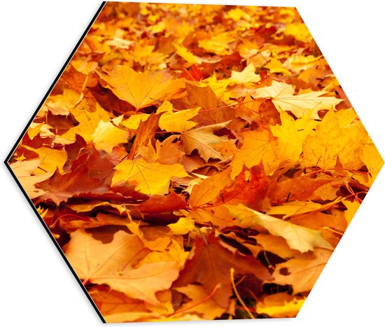 WallClassics - Dibond Hexagon - Oranje Herfstbladeren - 40x34.8 cm Foto op Hexagon (Met Ophangsysteem)