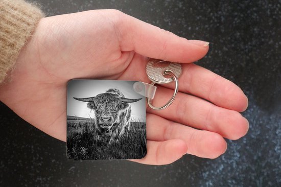 Porte-clés Scottish Highlanders - Close-up Scottish Highlander en plastique noir et blanc porte-clés - porte-clés carré avec photo