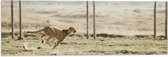 WallClassics - Drapeau - Léopard de chasse devant une clôture - Photo 60x20 cm sur drapeau polyester