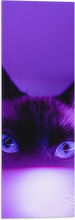WallClassics - Vlag - Zwarte Kat in het Paarse Licht - 20x60 cm Foto op Polyester Vlag