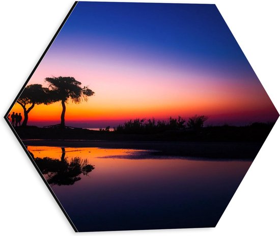 WallClassics - Dibond Hexagon - Schommel bij Bomen en zonsondergang - 30x26.1 cm Foto op Hexagon (Met Ophangsysteem)