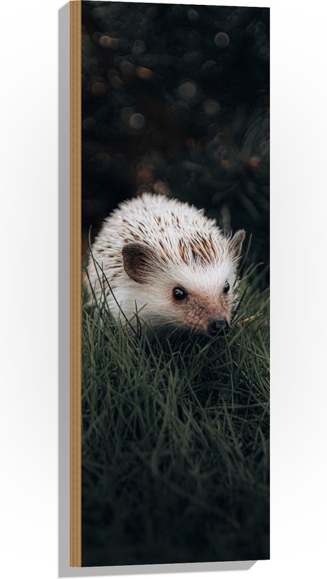 WallClassics - Bois - Hérisson Witte dans l'herbe - 30 x 90 cm - Épaisseur 12 mm - Photo sur bois (avec système de suspension)