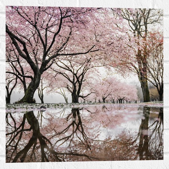WallClassics - Muursticker - Prachtige Bloesem Bomen - 50x50 cm Foto op Muursticker