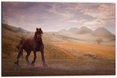 WallClassics - Dibond - Zwart Paard in de Natuur - 60x40 cm Foto op Aluminium (Wanddecoratie van metaal)