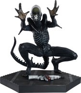 Alien & Predator - Aanval op de ventilatieschacht Xenomorph standbeeld