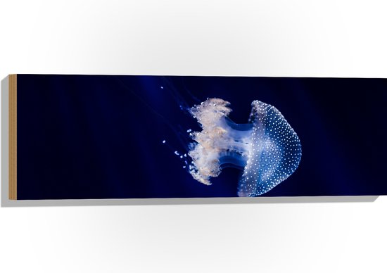 WallClassics - Hout - Witte Kwal onder Blauw Water - 90x30 cm - 12 mm dik - Foto op Hout (Met Ophangsysteem)