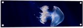 WallClassics - Tuinposter – Witte Kwal onder Blauw Water - 90x30 cm Foto op Tuinposter  (wanddecoratie voor buiten en binnen)
