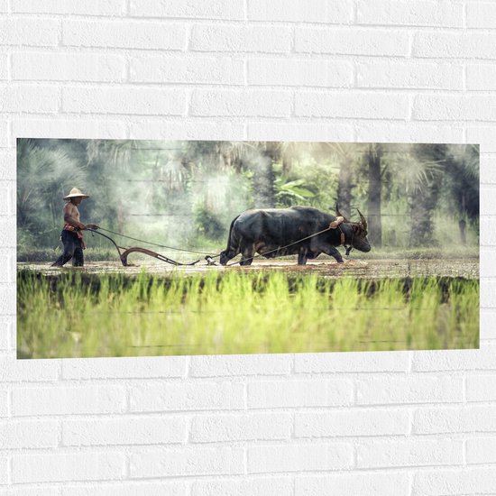WallClassics - Muursticker - Waterbuffel aan het Werk - 100x50 cm Foto op Muursticker