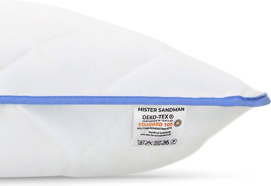 HOMESCAPES Oreiller en Plumes et duvet d'oie 80 x 80 cm - lot de 2