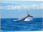 WallClassics - Tuinposter – Walvis Staart boven het Zee Oppervlak - 80x60 cm Foto op Tuinposter  (wanddecoratie voor buiten en binnen)