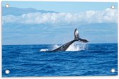 WallClassics - Tuinposter – Walvis Staart boven het Zee Oppervlak - 60x40 cm Foto op Tuinposter  (wanddecoratie voor buiten en binnen)
