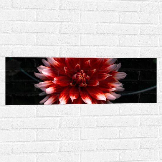 WallClassics - Muursticker - Roze met Rode Bloem - 90x30 cm Foto op Muursticker