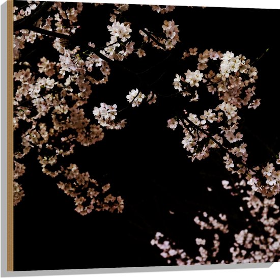 WallClassics - Hout - Wit met Roze Bloementjes met Zwarte Achtergrond - 80x80 cm - 12 mm dik - Foto op Hout (Met Ophangsysteem)