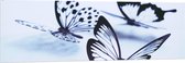 WallClassics - Acrylglas - Zwarte Vlinders op Witte Achtergrond - 150x50 cm Foto op Acrylglas (Met Ophangsysteem)