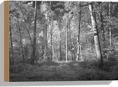 WallClassics - Hout - Bos Zwart / Wit - 40x30 cm - 12 mm dik - Foto op Hout (Met Ophangsysteem)