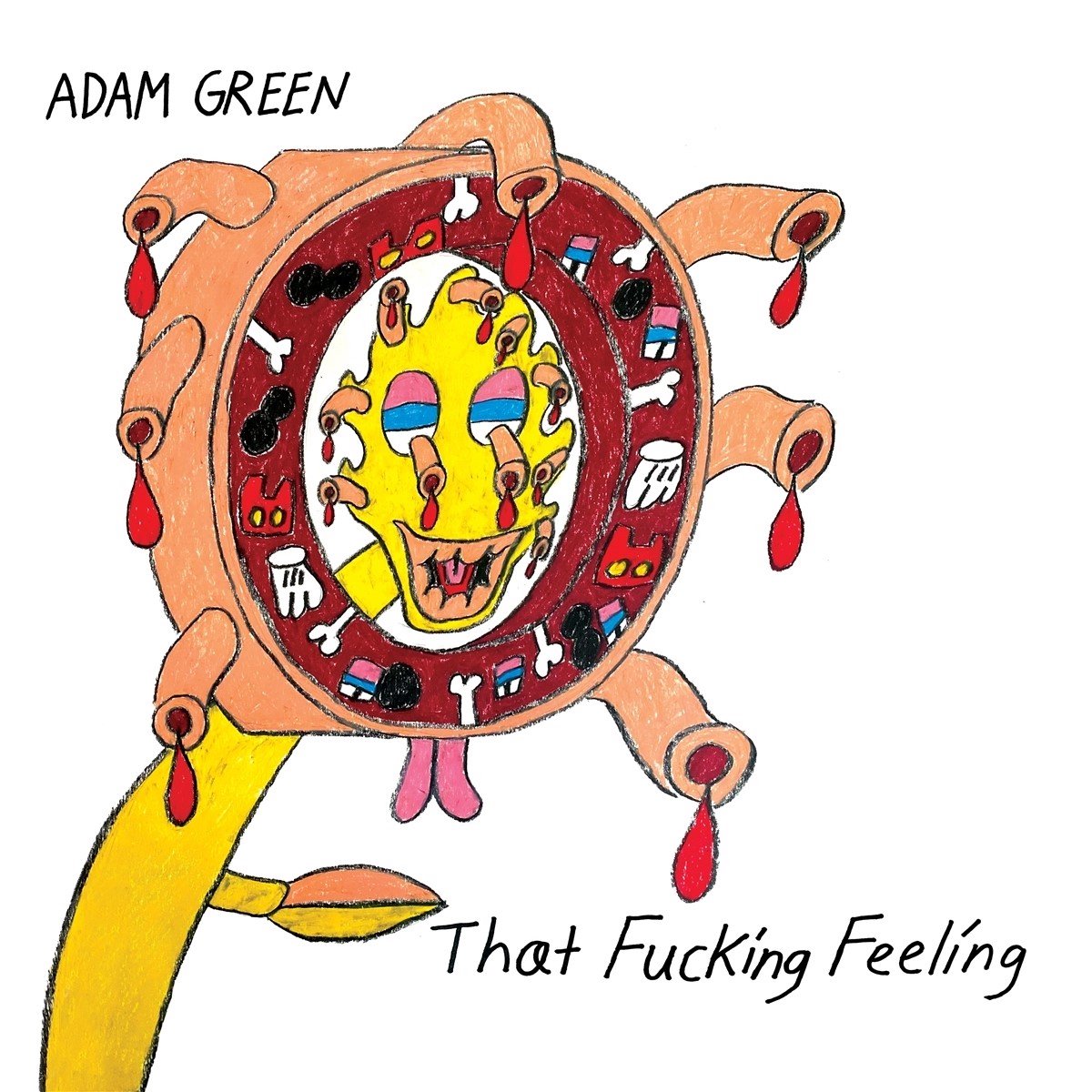 Adam Green - That Fucking Feeling (CD)