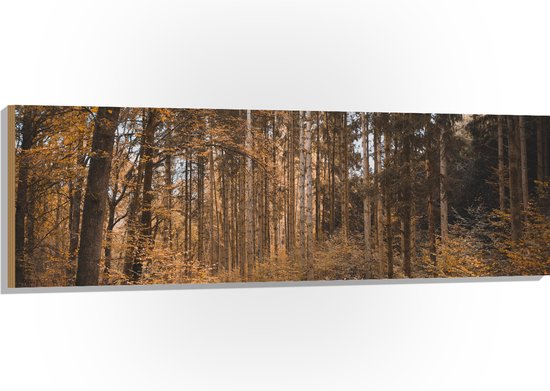 WallClassics - Hout - Bos in de Herfst - 150x50 cm - 12 mm dik - Foto op Hout (Met Ophangsysteem)