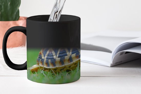 Magic Mug - Photo Heat Mug - Turtle on Grass - 350 ML - Sinterklaas Gift - Noël Presents - Shoes Presents - Handout Presents