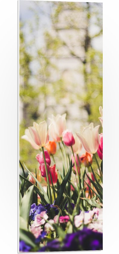 WallClassics - PVC Schuimplaat- Mix van gekleurde Bloemen in Landschap - 30x90 cm Foto op PVC Schuimplaat