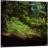WallClassics - Tuinposter – Schaduw in het Bos - 100x100 cm Foto op Tuinposter  (wanddecoratie voor buiten en binnen)