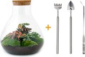 Terrarium - Sam XL Red - ↑ 35 cm - Ecosysteem plant - Kamerplanten - DIY planten terrarium - Mini ecosysteem + Hark + Schep + Pincet
