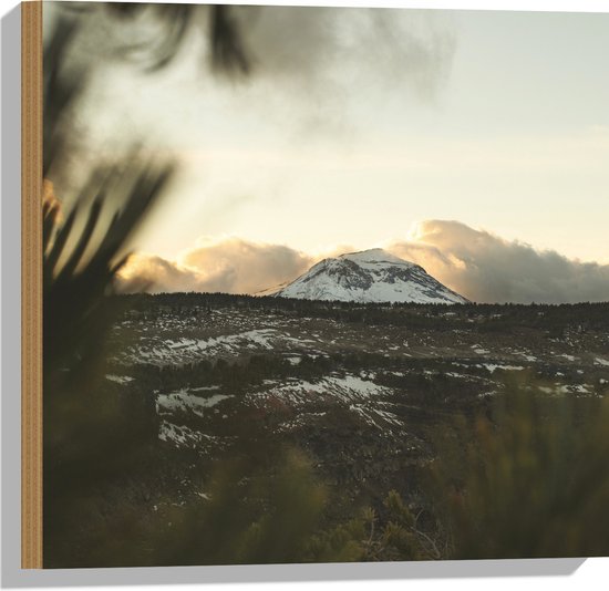 WallClassics - Hout - Witte Sneeuwberg in Landschap met Wolken - 50x50 cm - 12 mm dik - Foto op Hout (Met Ophangsysteem)
