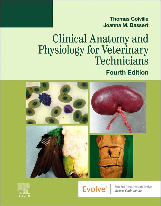 Clinical Anatomy and Physiology for Veterinary Technicians - cover