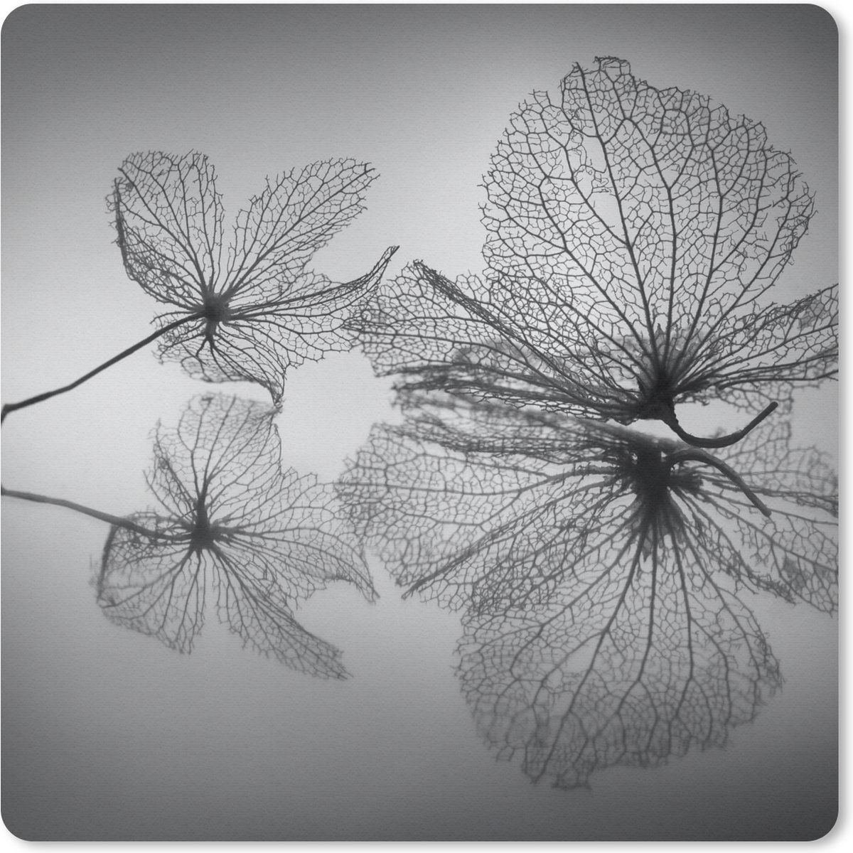 Muismat 20x20 cm - Mousepad Bladeren - Stilleven - Herfst - Muismatten