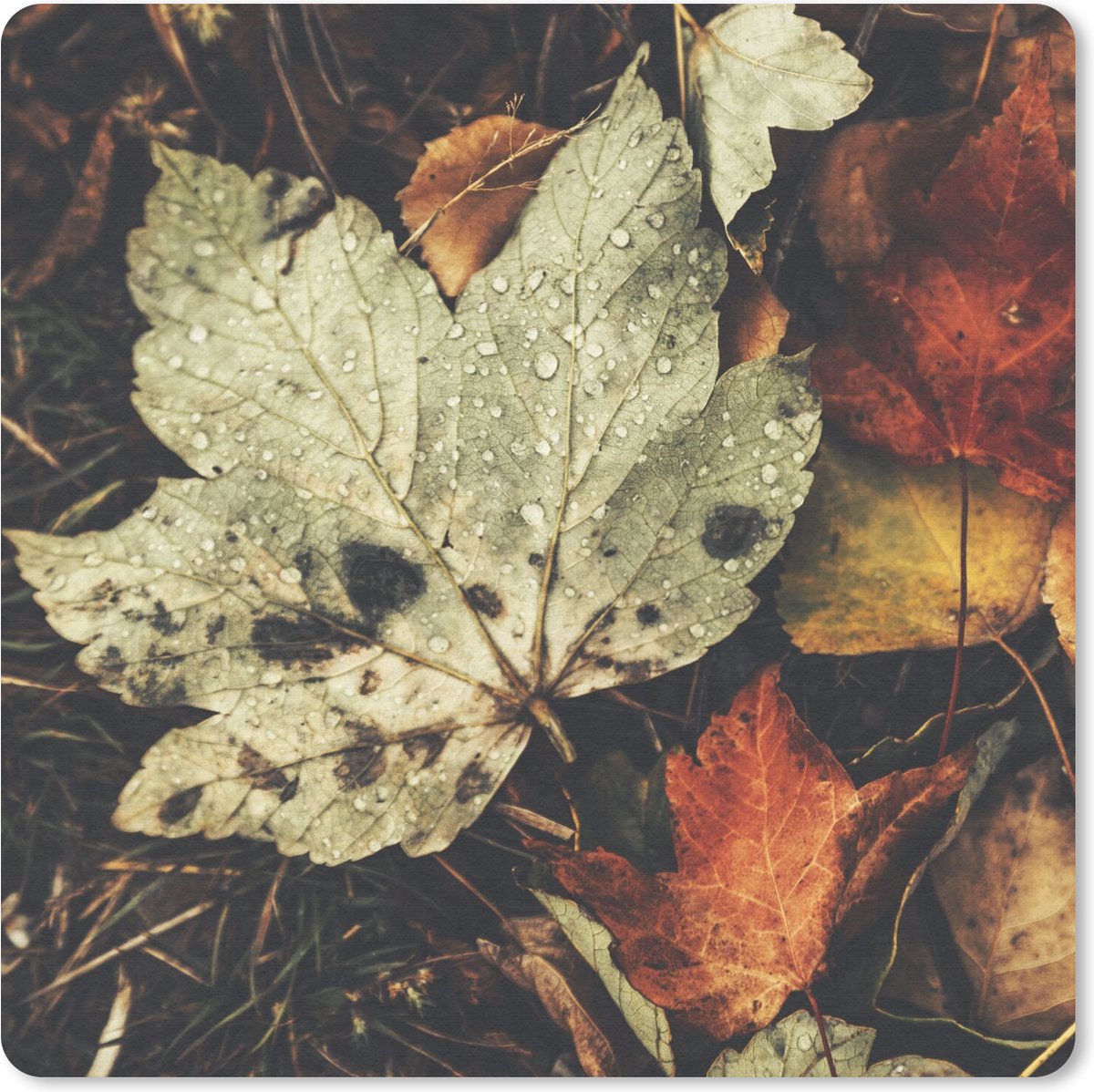 Muismat 30x30 cm - Mousepad Herfstbladeren - Herfst - Seizoenen - Natuur - Muismatten