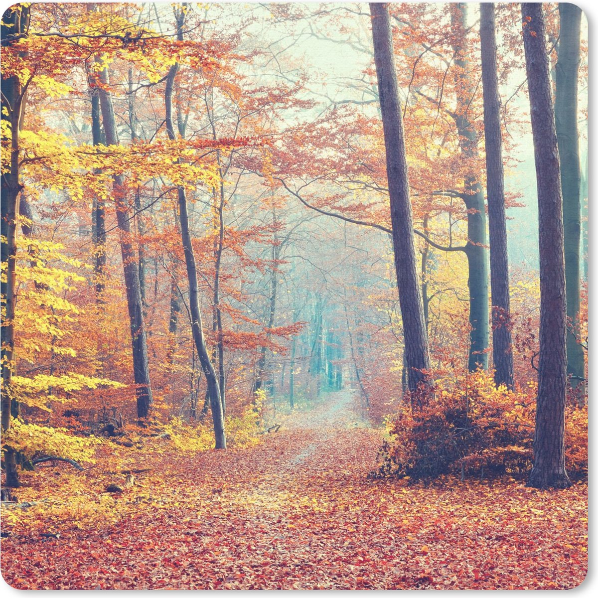 Muismat 20x20 cm - Mousepad Bos - Herfst - Bladeren - Muismatten