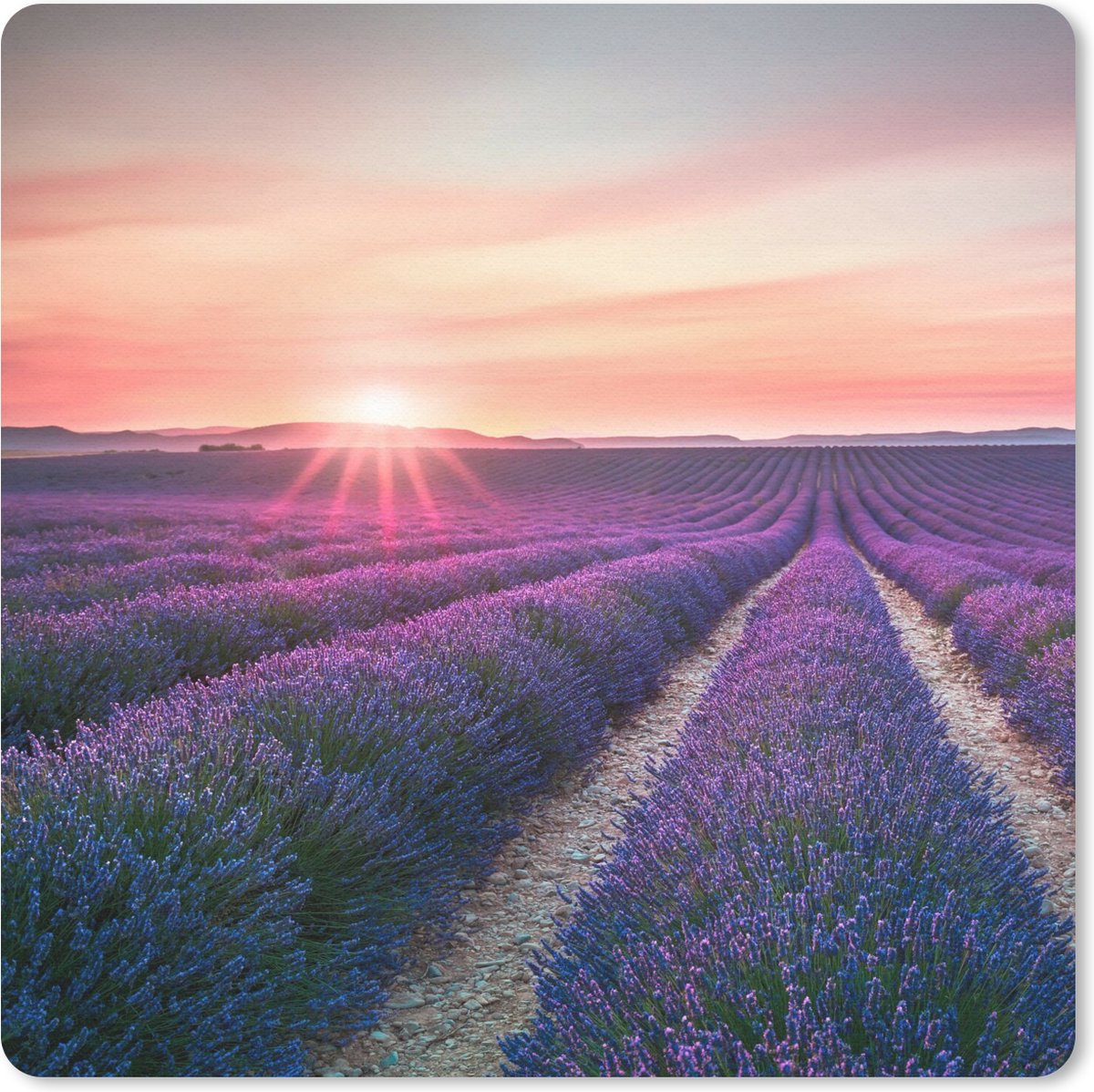 Muismat 20x20 cm - Mousepad Lavendel - Paars - Bloemen - Lucht - Muismatten