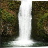 WallClassics - Dibond - Witte Waterval met Mos - 80x80 cm Foto op Aluminium (Met Ophangsysteem)