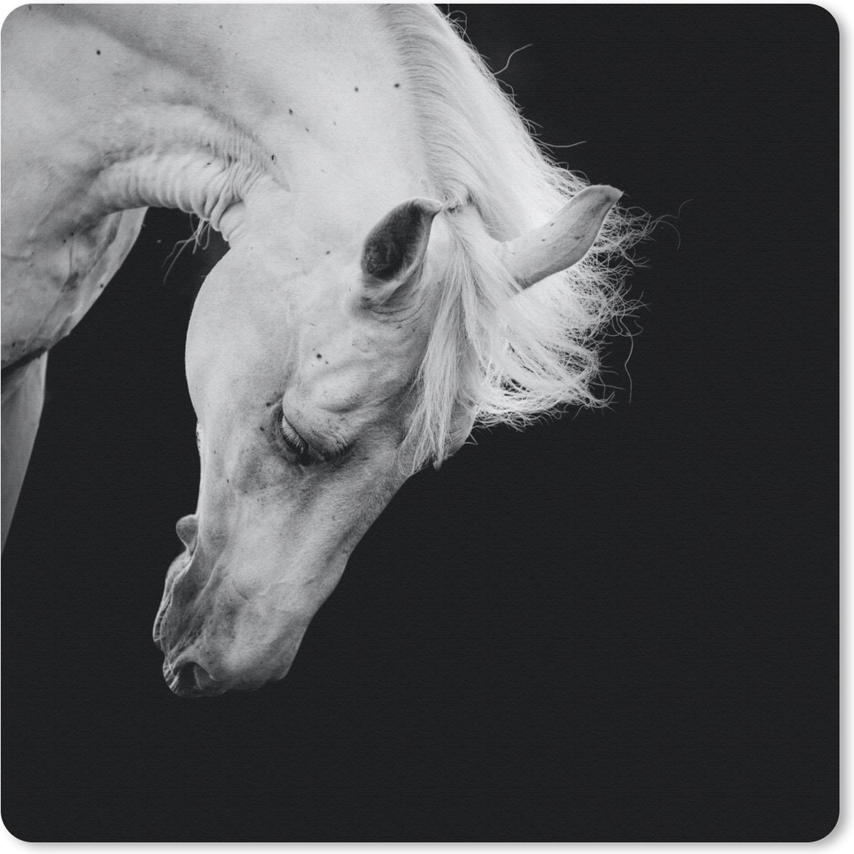 Muismat 20x20 cm - Mousepad Paard - Wit - Zwart - Muismatten