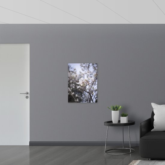 WallClassics - Dibond - Bloem Witte solitaire sur branche - 60x80 cm Photo sur aluminium ( Décoration murale en métal)