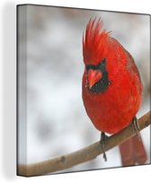 Cardinal rouge sur une fine branche Toile 90x90 cm - Tirage photo sur toile (Décoration murale salon / chambre)