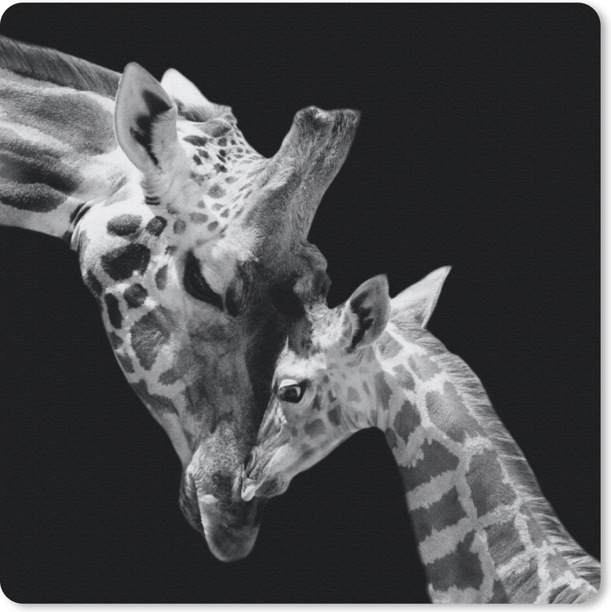 Muismat 30x30 cm - Mousepad Giraffe - Wilde dieren - Portret - Zwart wit - Muismatten