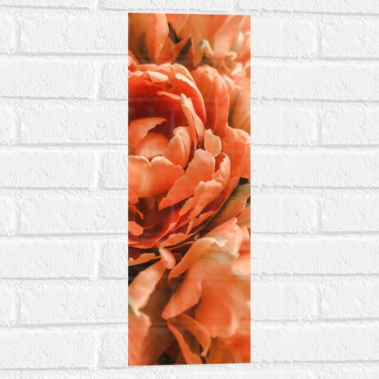 WallClassics - Muursticker - Close-up van Oranje Pioenrozen - 20x60 cm Foto op Muursticker