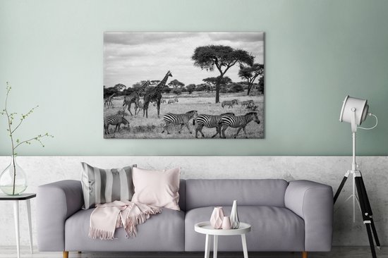 Tableau sur toile Girafes et Zèbres ensemble dans les savanes du Parc National du Serengeti - noir et blanc - 120x80 cm - Décoration murale