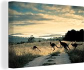 Canvas Schilderij Kangoeroes op de weg fotoprint - 90x60 cm - Wanddecoratie