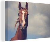 Canvas Schilderij Paard - Wolken - Portret - 60x40 cm - Wanddecoratie