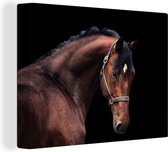 Canvas Schilderij Paard - Licht - Halster - 80x60 cm - Wanddecoratie