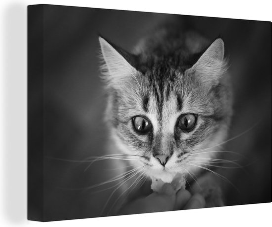 Canvas Schilderij Dierenprofiel ruikende kat in zwart-wit - 60x40 cm - Wanddecoratie