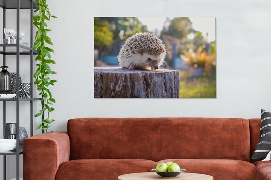 Hérisson assis sur un tronc d'arbre 120x80 cm - impression photo sur toile peinture (Décoration murale salon / chambre à coucher) / Animaux sauvages Peintures Toile
