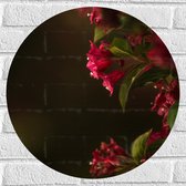 WallClassics - Muursticker Cirkel - Roze Bloemen - 50x50 cm Foto op Muursticker